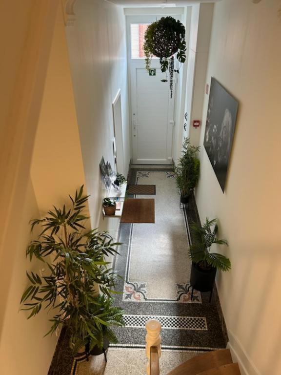 Les Gites Du Palais Dinant Eksteriør bilde